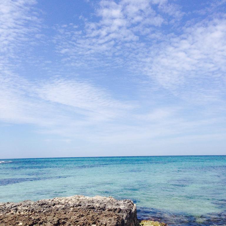 Appartamento Annamaria Ostuni Dış mekan fotoğraf
